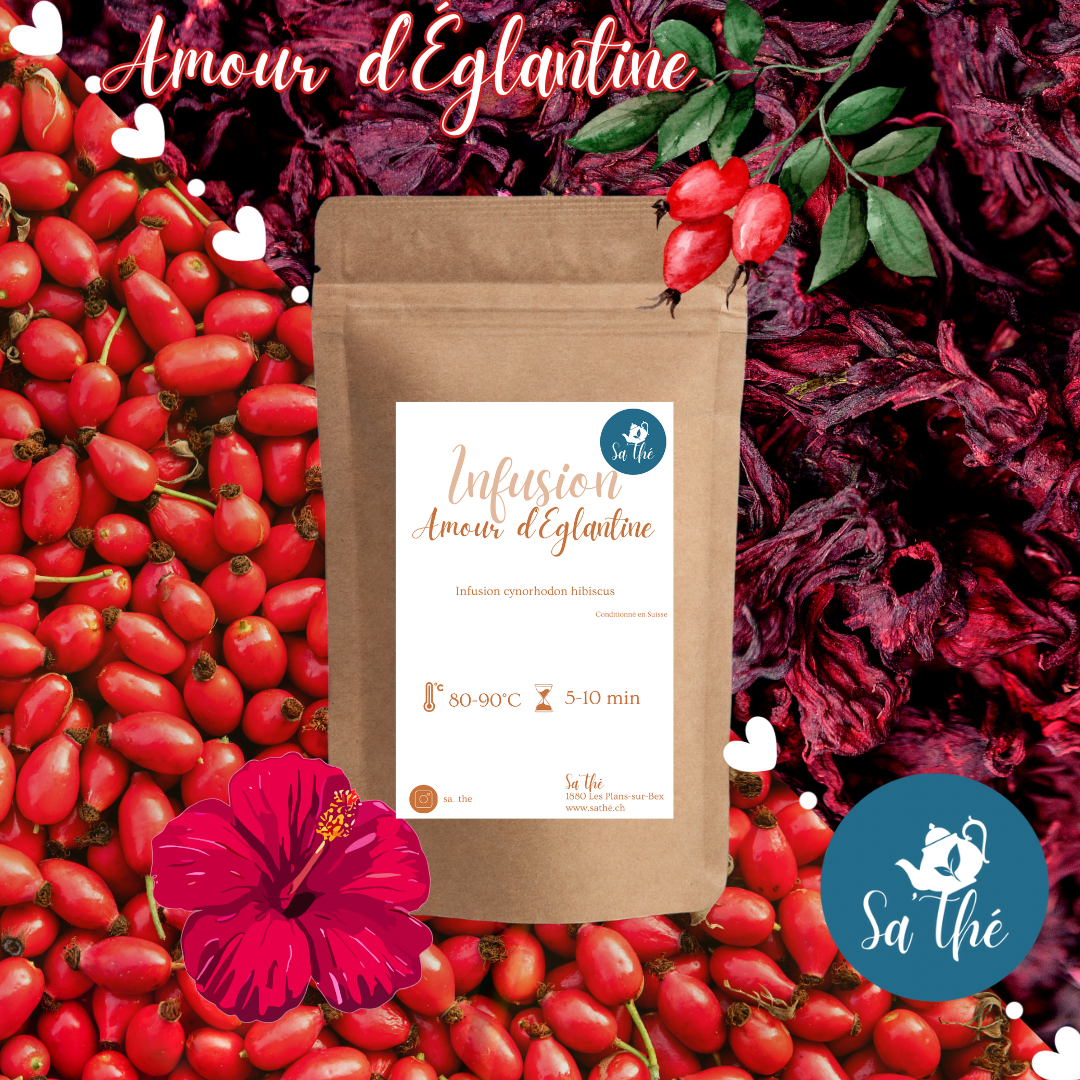 Amour d'Églantine